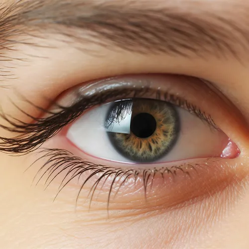 Consulta de análise da íris em Porto Alegre