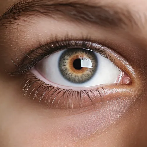 Iridologia para iniciantes no Vale dos Sinos