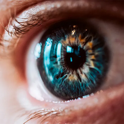 Iridologia para olhos