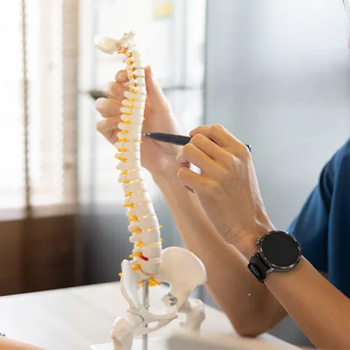 Quiropraxia mais próximo